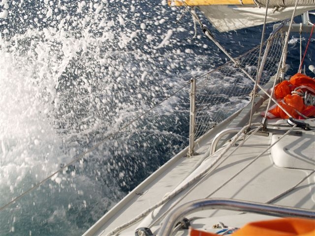 A pilot whale sprays Mingming with its fluke