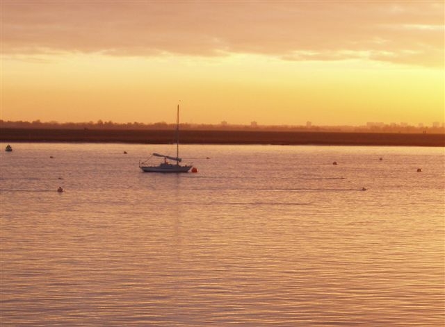 Mingming alone in a winter sunset on the River Crouch